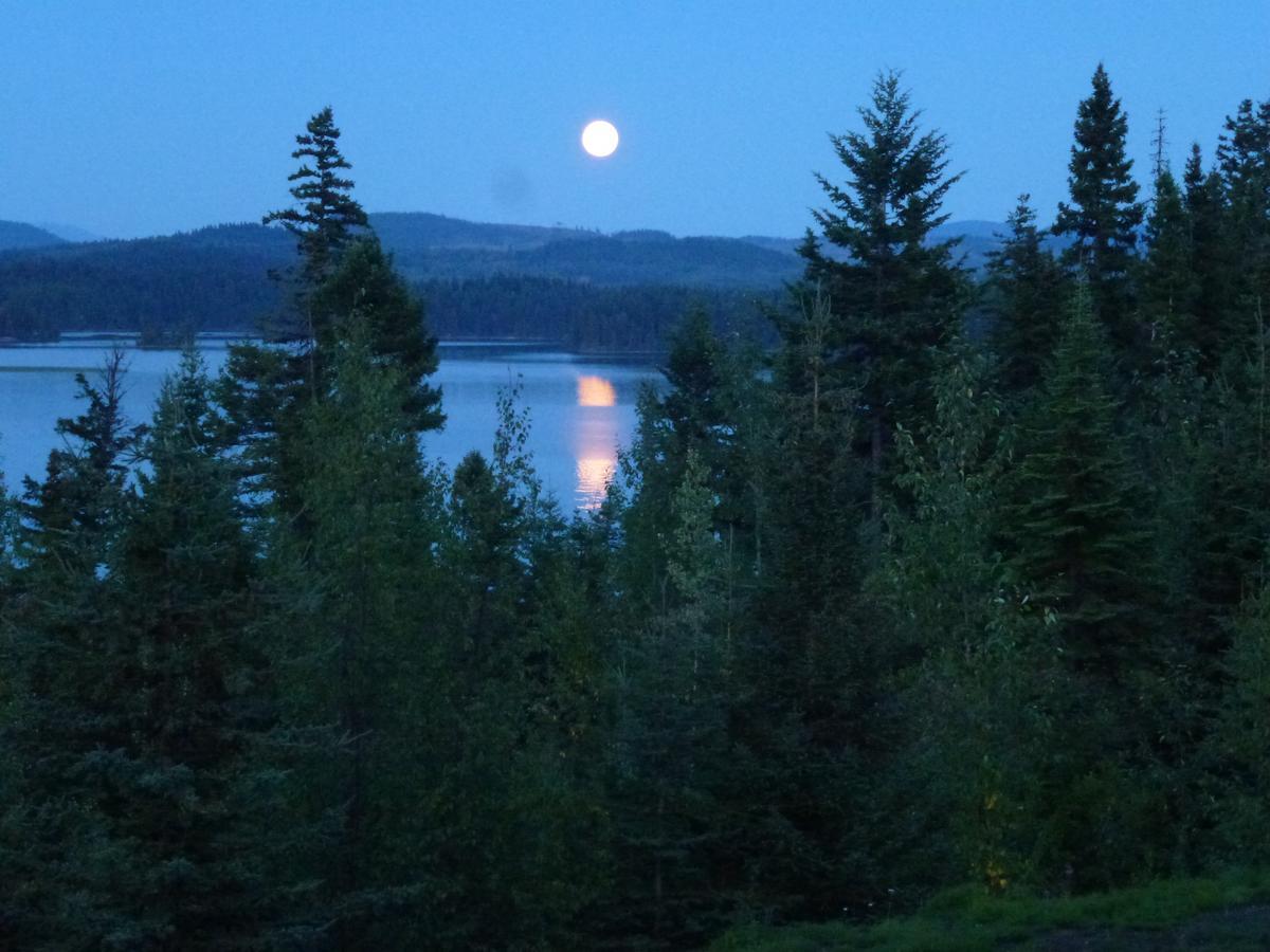 Little Black Bear Lodge/B&B Bridge Lake Exteriör bild