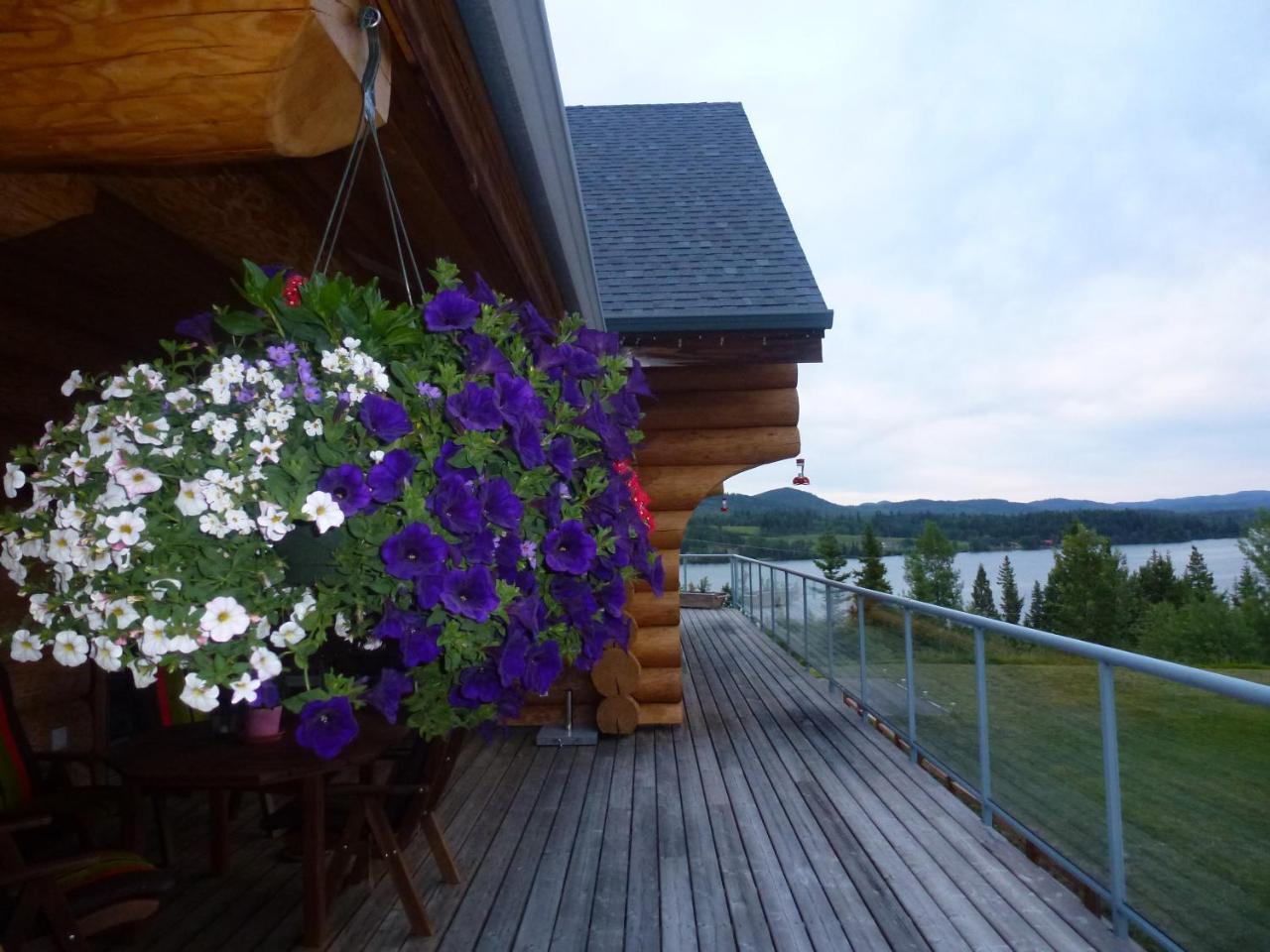 Little Black Bear Lodge/B&B Bridge Lake Exteriör bild