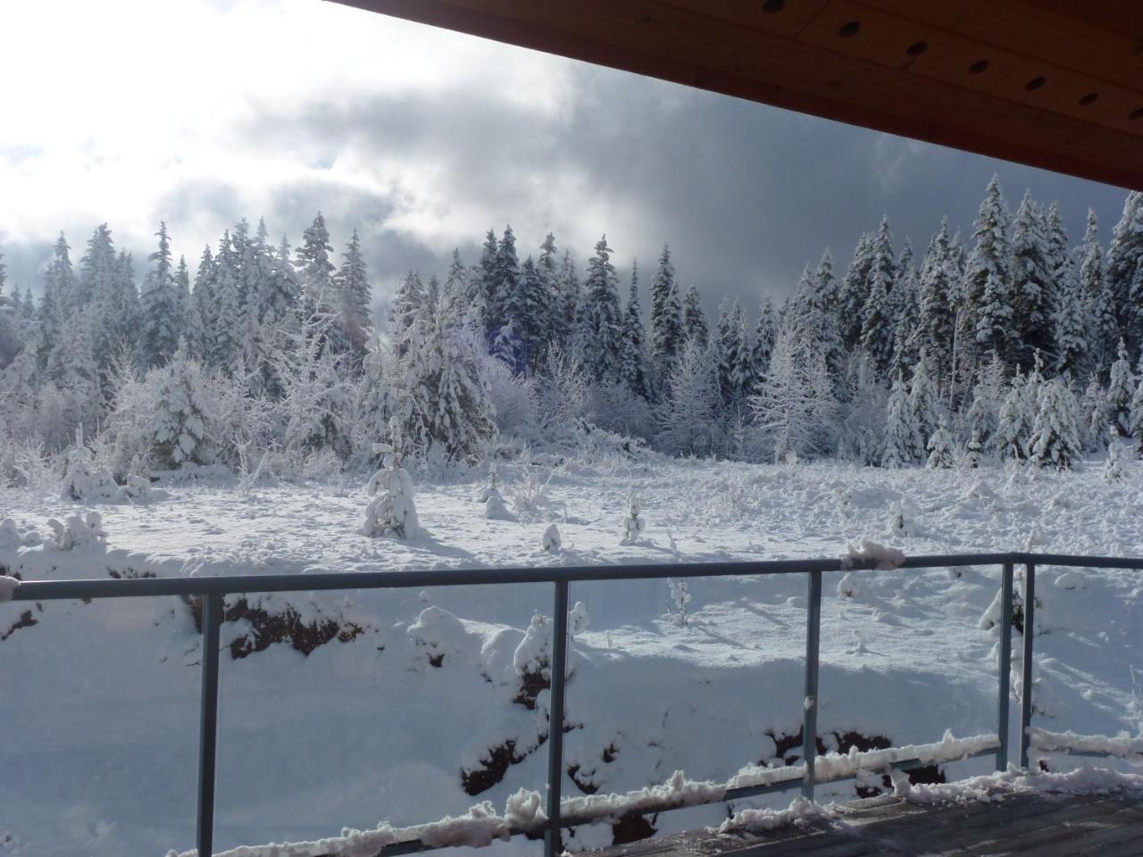 Little Black Bear Lodge/B&B Bridge Lake Exteriör bild