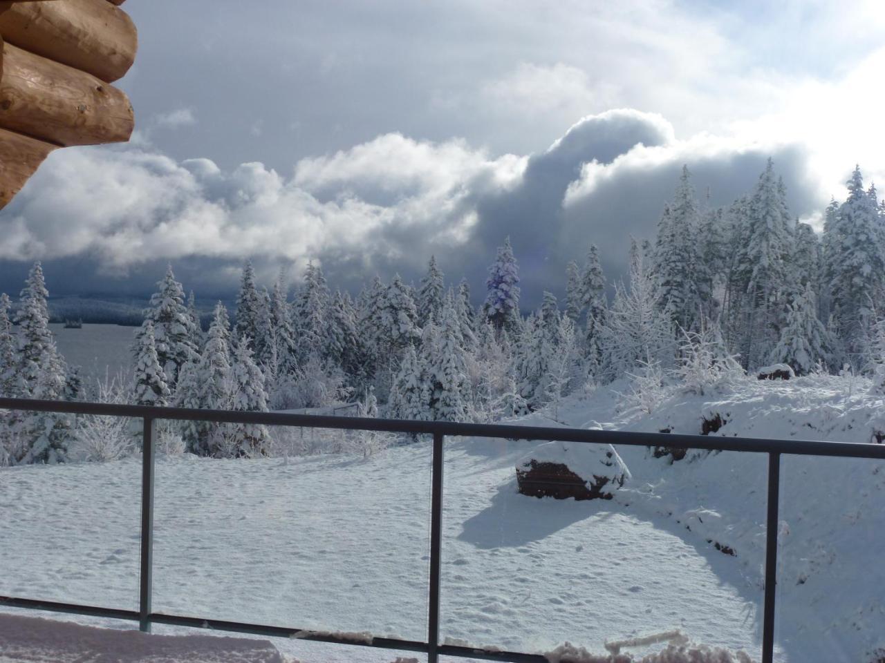 Little Black Bear Lodge/B&B Bridge Lake Exteriör bild