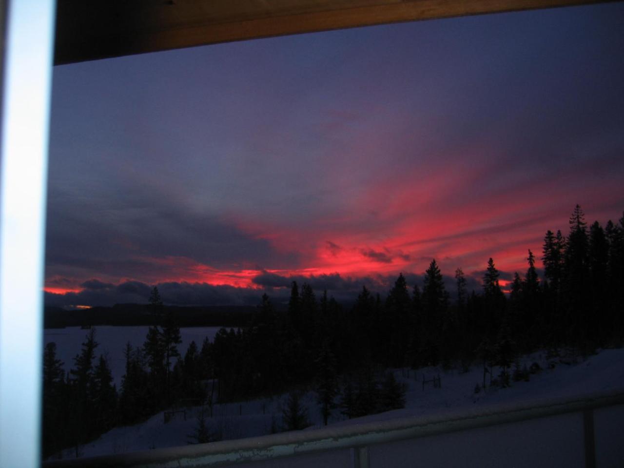 Little Black Bear Lodge/B&B Bridge Lake Exteriör bild