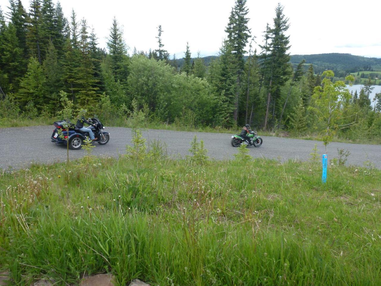 Little Black Bear Lodge/B&B Bridge Lake Exteriör bild