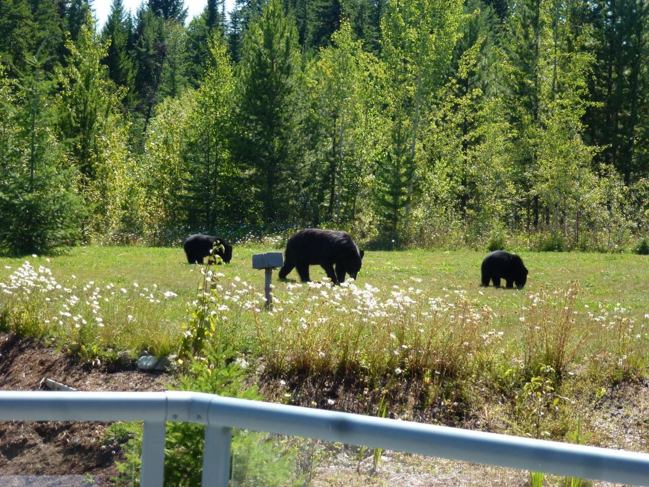 Little Black Bear Lodge/B&B Bridge Lake Exteriör bild