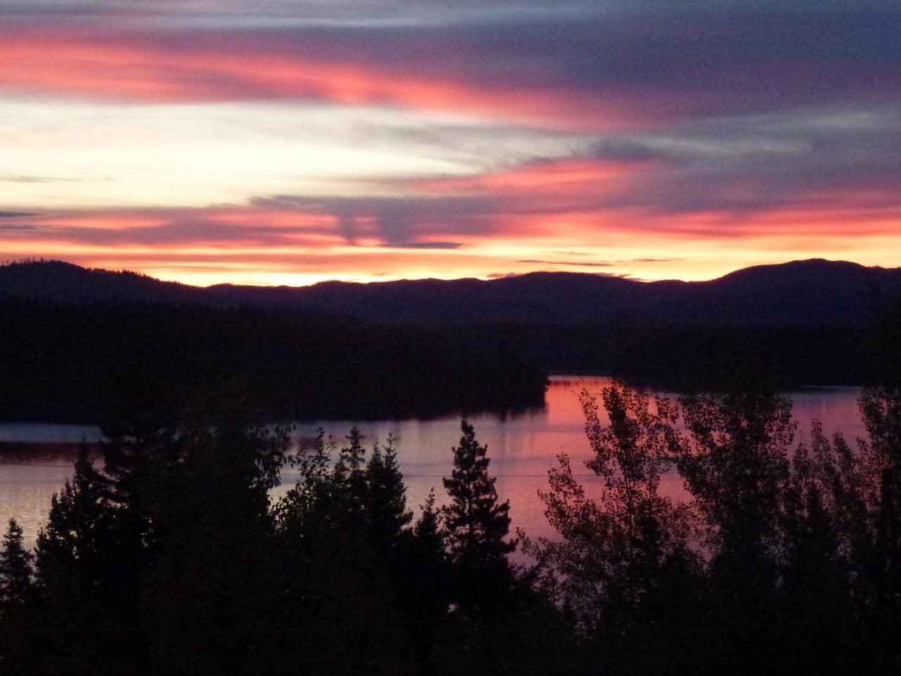 Little Black Bear Lodge/B&B Bridge Lake Exteriör bild