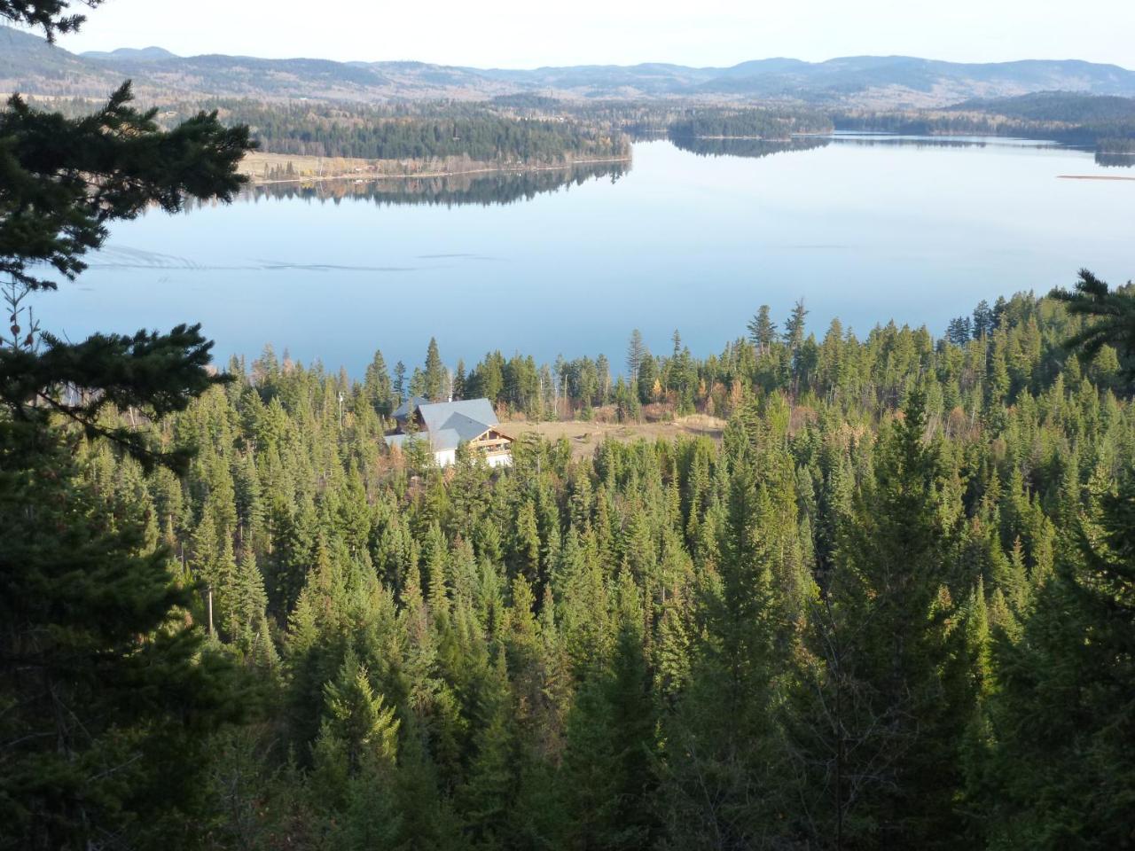 Little Black Bear Lodge/B&B Bridge Lake Exteriör bild